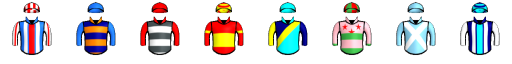 Runner silk