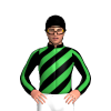 Jockey Silk