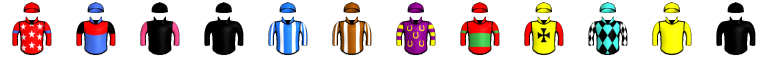 Runner silk