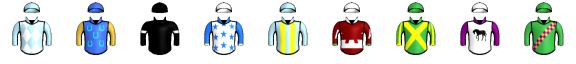 Runner silk