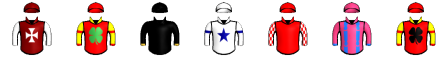 Runner silk
