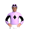 Jockey Silk