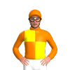 Jockey Silk
