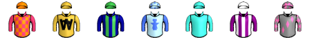 Runner silk