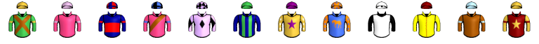 Runner silk