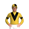 Jockey Silk