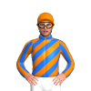 Jockey Silk