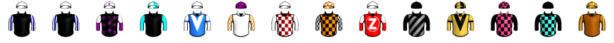 Runner silk