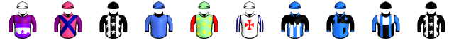 Runner silk