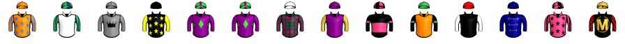 Runner silk