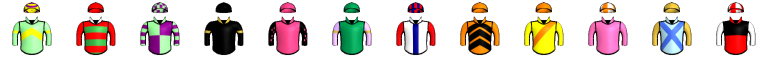 Runner silk