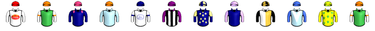 Runner silk