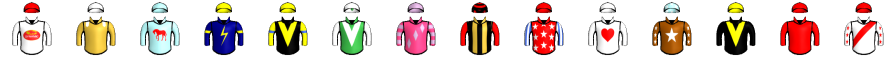 Runner silk