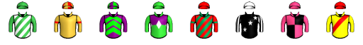 Runner silk