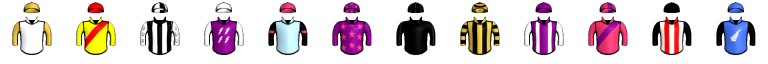 Runner silk