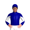 Jockey Silk