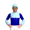 Jockey Silk