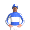 Jockey Silk