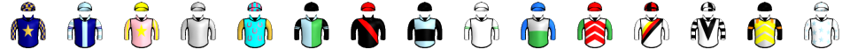 Runner silk