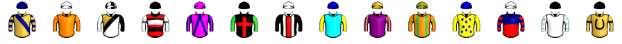 Runner silk
