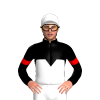 Jockey Silk