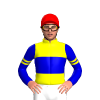 Jockey Silk