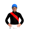 Jockey Silk