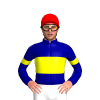 Jockey Silk
