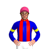 Jockey Silk