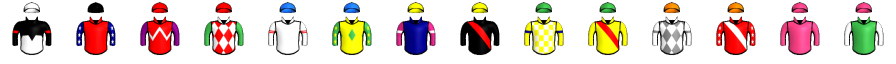 Runner silk