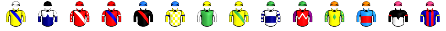 Runner silk