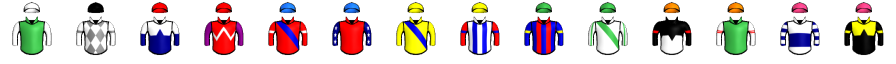 Runner silk