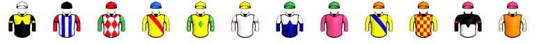 Runner silk