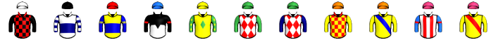 Runner silk