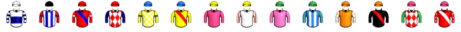Runner silk