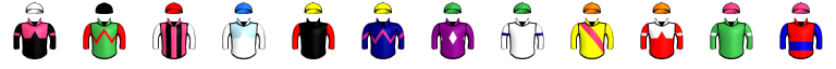 Runner silk