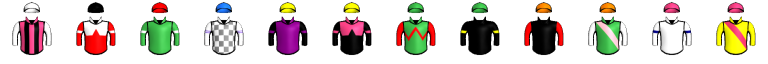 Runner silk