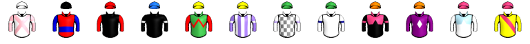 Runner silk