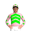 Jockey Silk