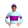Jockey Silk