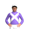 Jockey Silk