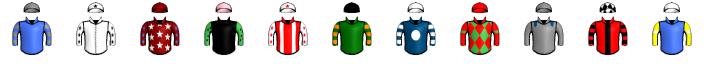 Runner silk