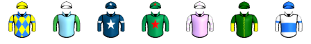Runner silk