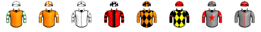 Runner silk