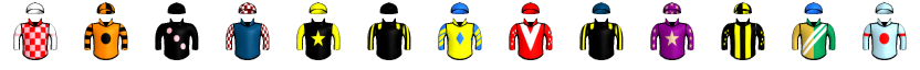 Runner silk