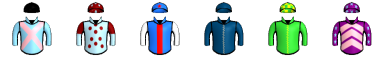 Runner silk