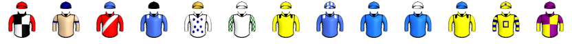 Runner silk