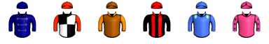 Runner silk