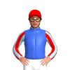 Jockey Silk