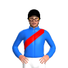 Jockey Silk